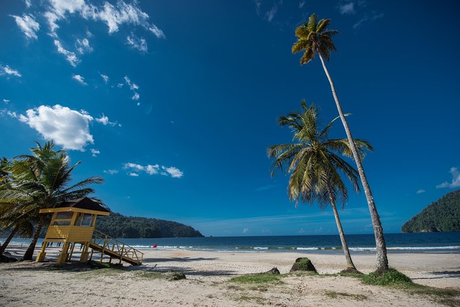 Maracas Beach Trip - Local Food and Drink Options