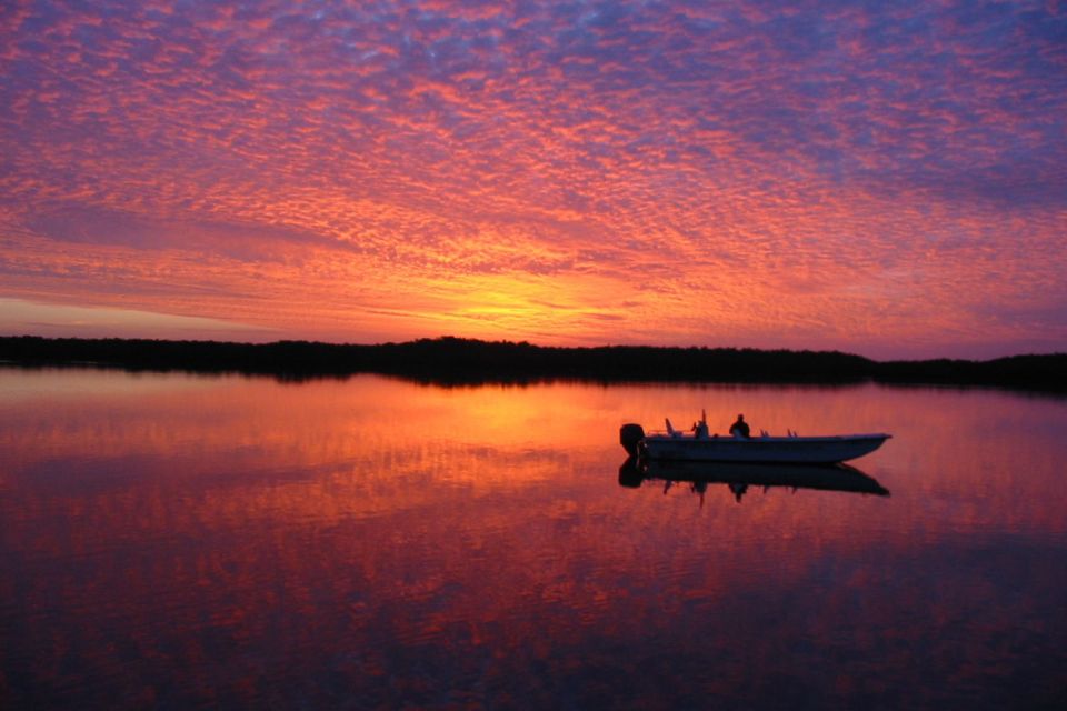 Marco Island: 2-Hour Dolphin, Birding, and Shelling Tour - Recommended Attire and Gear