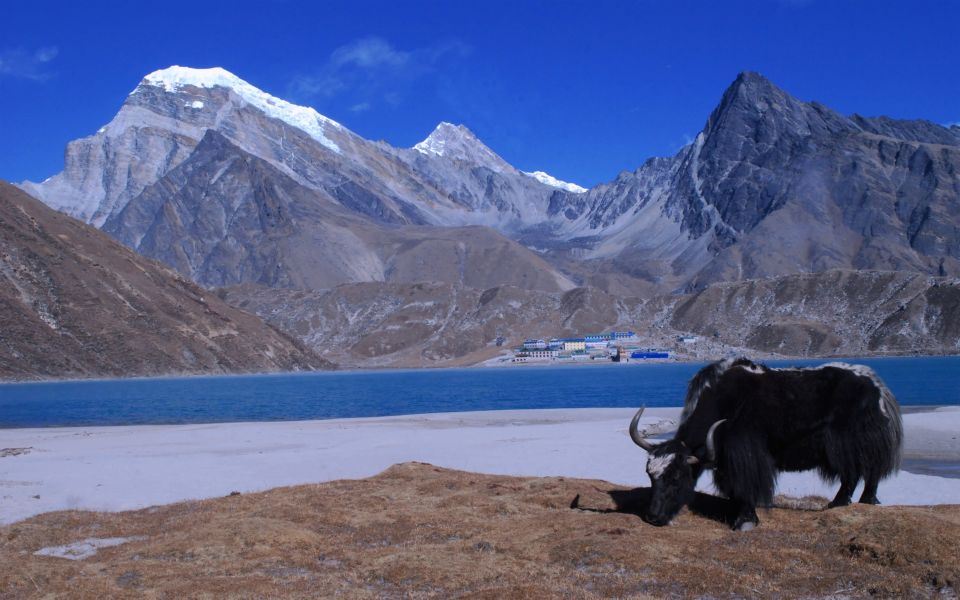 Mardi Himal Trekking: An Epic Adventure in the Himalayas - Best Time to Trek