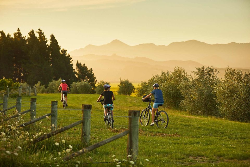 Marlborough: Half Guided and Half Self-Guided Bike Wine Tour - Pickup and Drop-off