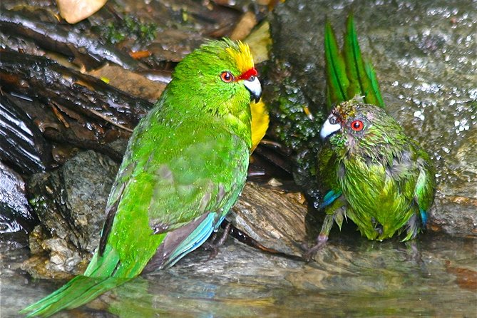 Marlborough Sounds Ultimate Cruise - Weather Considerations