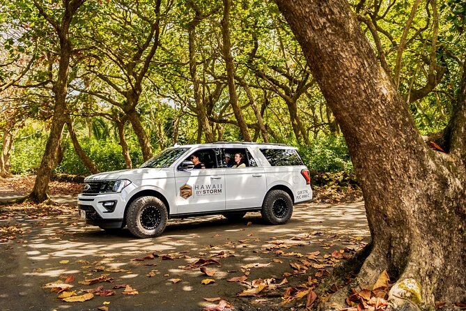 Maui by Storm: Epic Private Luxury Road to Hana Adventure Tour - Expert Guides and Personalized Tours