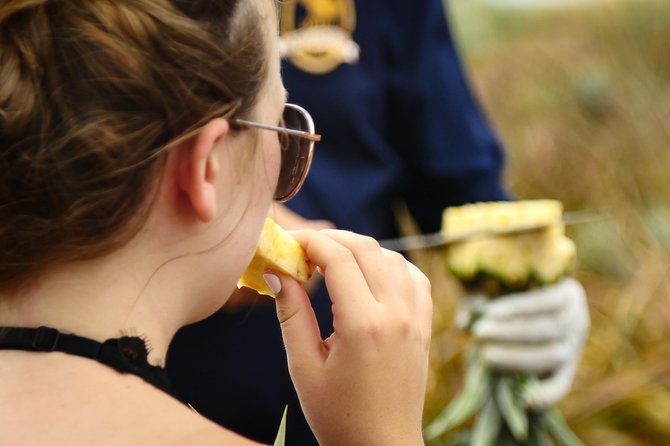 Maui Pineapple Farm Tour in Haliimaile - Guest Experiences