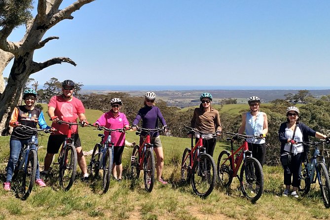 McLaren Vale Wine Tour by Bike - Feedback From Travelers