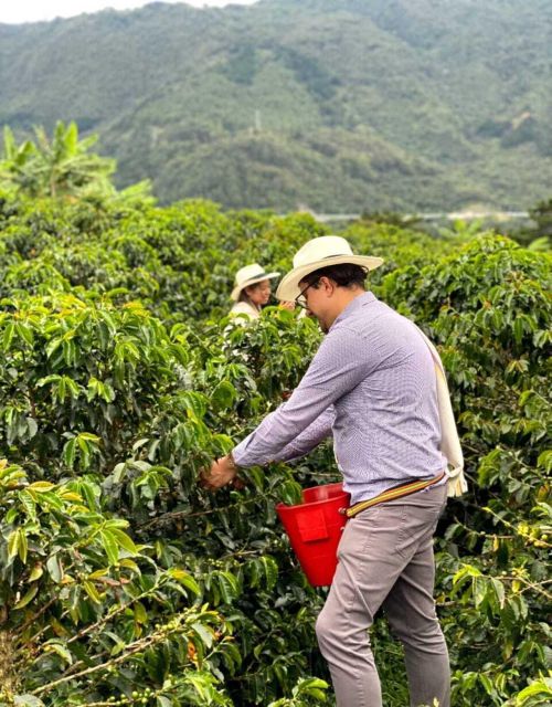 Medellín Coffee Farm Tour With Trolley and Cable Car Ride - Important Tour Details