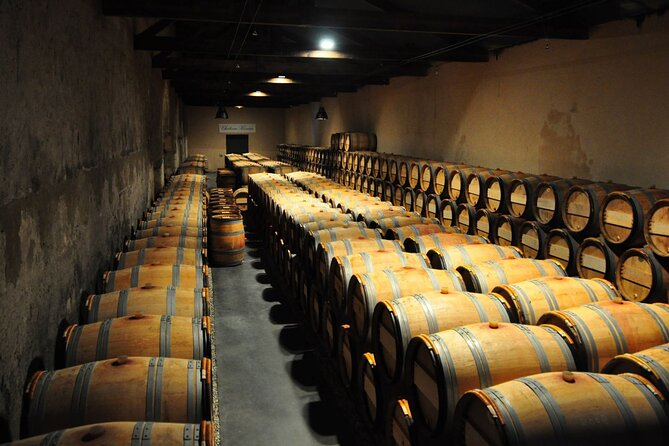 Medoc Region Wine Day Trip With Vineyard Visits & Tastings From Bordeaux - Explore the Charming Town of Pauillac