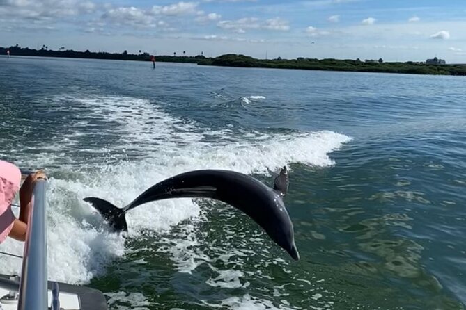 Mega Bite Dolphin Tour Boat in Clearwater Beach - Crew and Service Quality