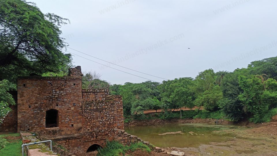 Mehrauli Archaeological Park Walk - Additional Visitor Tips