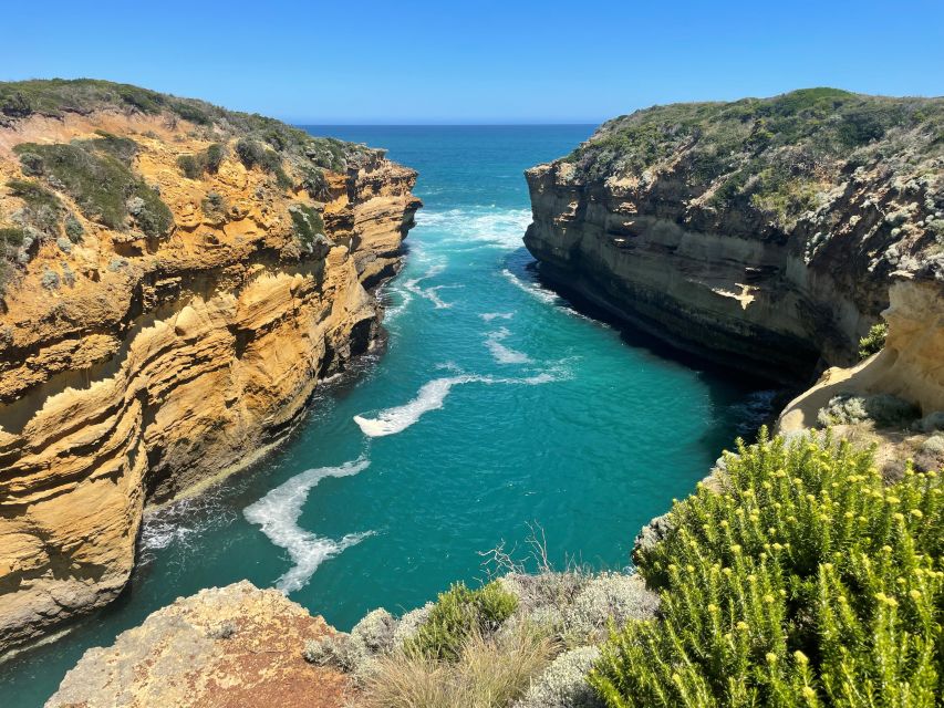 Melbourne: Great Ocean Road Day Trip With Rainforest Visit - Important Information