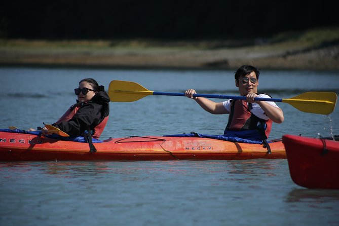 Mendenhall Glacier View Sea Kayaking - Booking Process