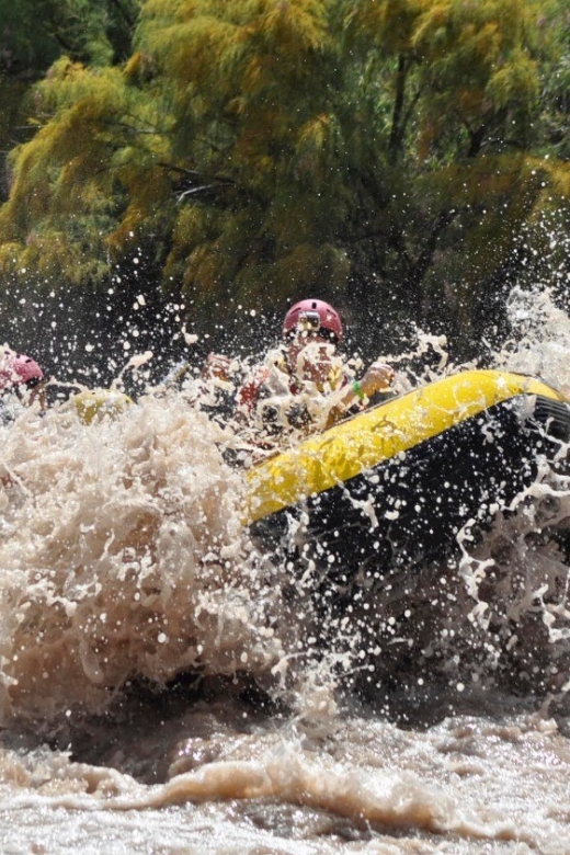 Mendoza: 12-KM River Rafting Tour in the Andes - Customer Feedback and Ratings