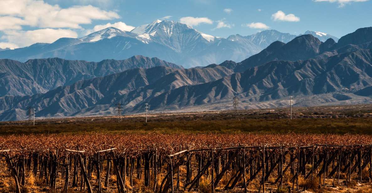 Mendoza: Full Day Wine Tour With 3 Course Lunch - Tour Inclusions