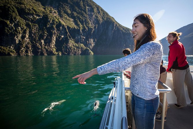 Milford Sound Coach, Cruise and Underwater Observatory With Lunch Ex Te Anau - Visitor Reviews