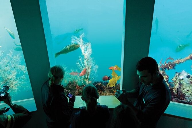 Milford Sound Coach & Discover More With Lunch Ex Queenstown - Accessibility Information