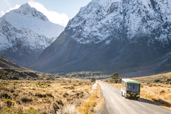 Milford Sound Cruise From Queenstown or Te Anau - Wildlife Spotting Opportunities