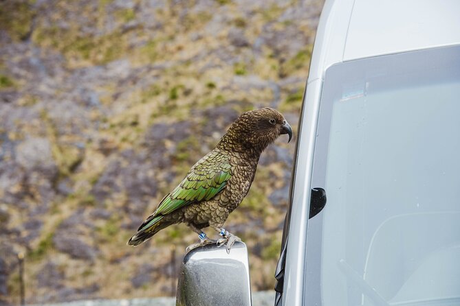 Milford Sound Small Group Tour From Queenstown With Scenic Flight - Weather Considerations and Dress Code