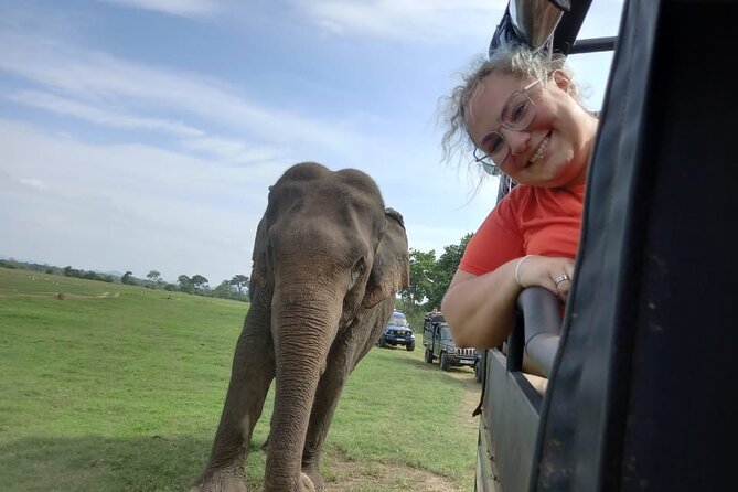 Minneriya National Park Elephant Jeep Safari - Private - Exploring Minneriya National Park