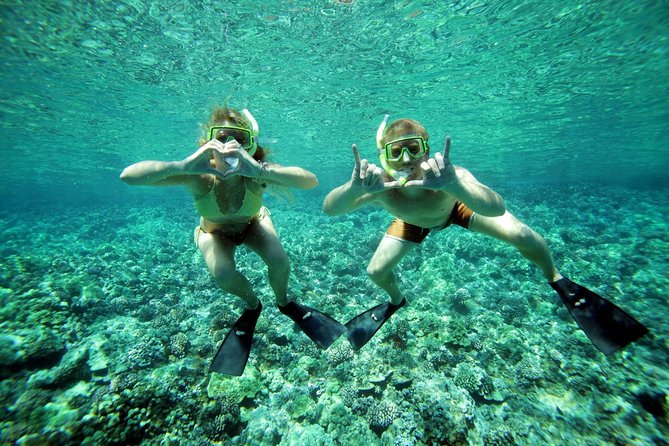 Molokini Snorkel and Performance Sail From Maalaea Harbor - Tips for an Enjoyable Experience