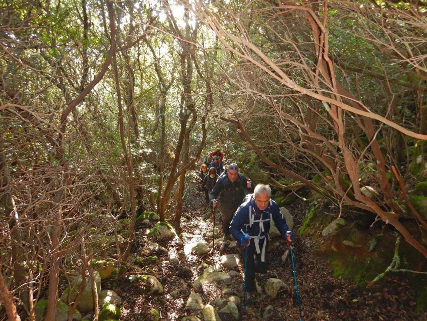 Monte Tiniterra: Guided Hiking Tour - Participant Guidelines