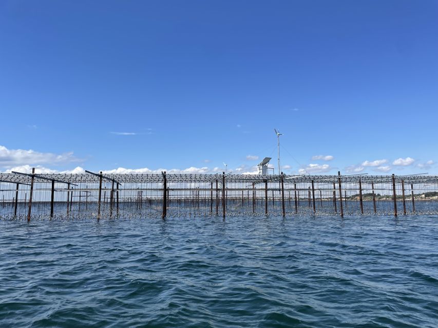 Montpellier: Day Trip With Boat Ride, Oysters, and Wine - Educational Insights