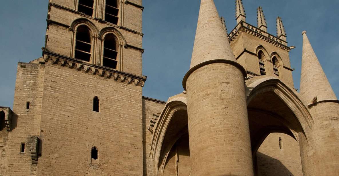 Montpellier - Private Historic Walking Tour - Pricing and Group Size