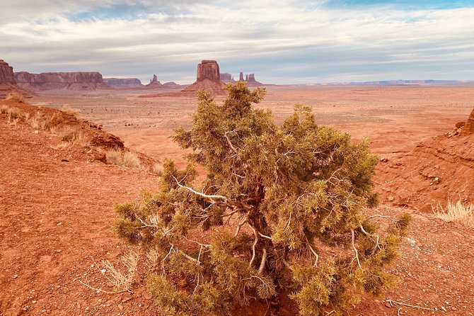 Monument Valley Backcountry Tour With Navajo Guide - Customer Reviews and Feedback