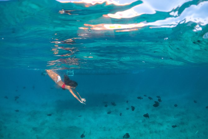 Morning Half Day Cruise From Providenciales With Snorkeling and Iguana Island - Included Beverages and Lunch