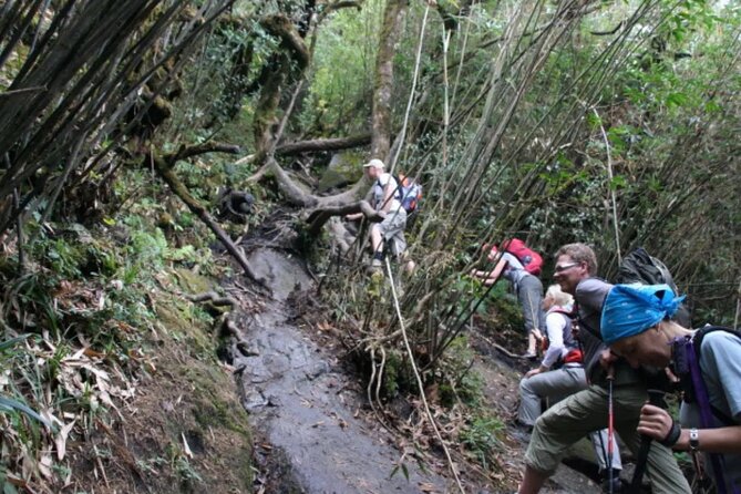 Mount Fansipan 2 Days Trek – Roof of Indochina - Booking and Cancellation Policy