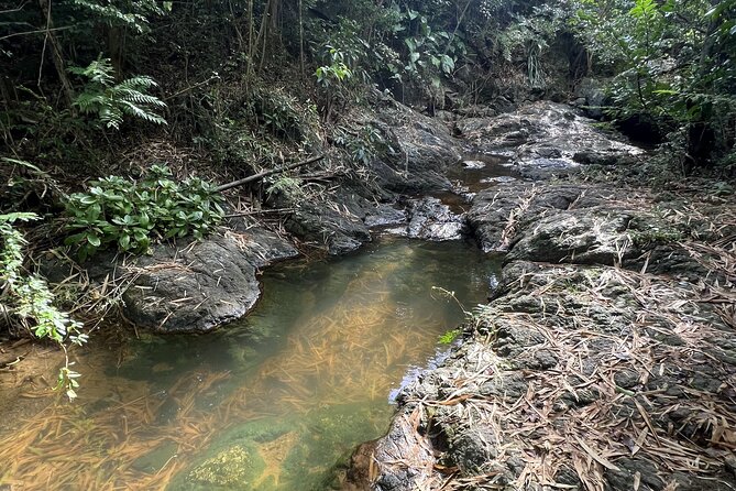 Mount Healthy National Park Private Hike Tour in Tortola - Customer Reviews and Ratings