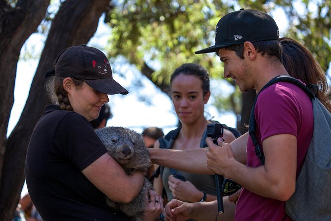 Mt Field, Mt Wellington & Tassie Devils Active Tour From Hobart - Cancellation Policies