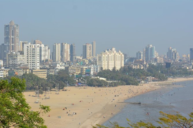 Mumbai Tours for Cruise Travellers (Private & Group Options) - Customer Experiences and Ratings