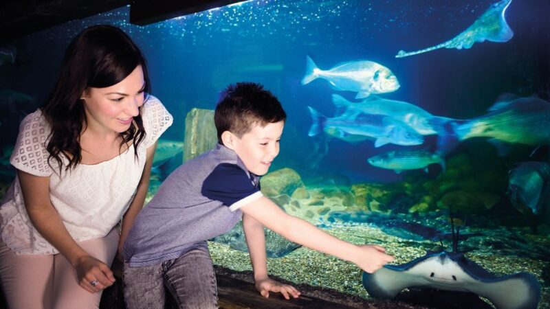 Munich: Day Ticket to Sea Life - Amenities for Visitors