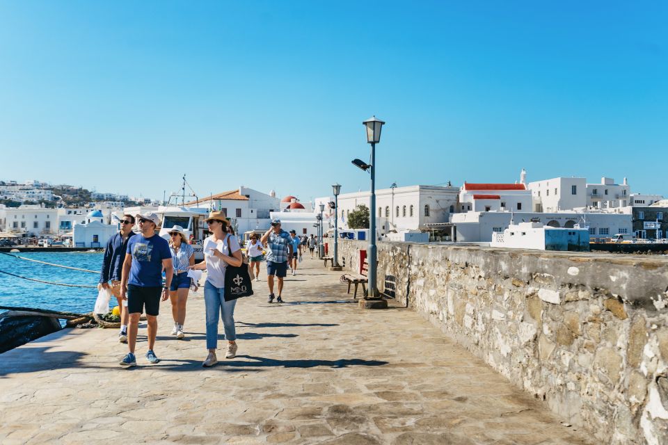 Mykonos Town: Archaeological Site of Delos Guided Day Trip - Customer Feedback