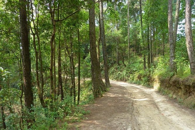 Nagarkot Sunrise View and Day Hike to Changu Narayan Temple - Guide and Expertise