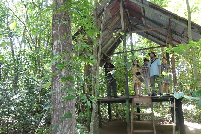 Nandana Tea Walking Tour in Sri Lanka - Booking Process