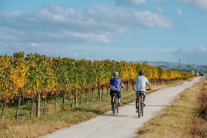 Napier E-bike Hire - Scenic Routes and Exploration