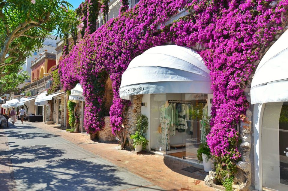 Naples: Capri Island by Hydrofoil - Optional Chairlift to Mt. Solaro