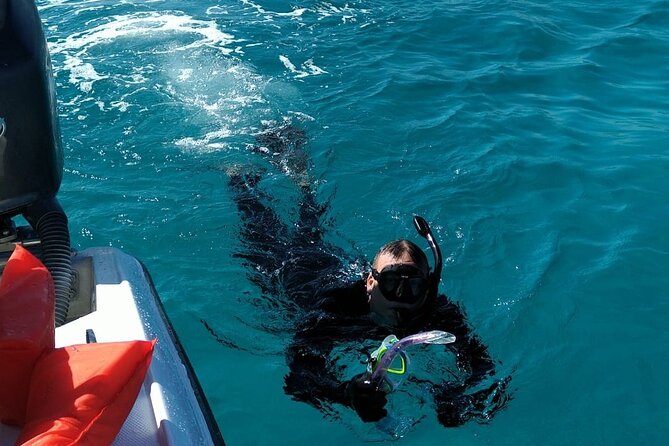 Nassau Aquatic Reef Tour: Snorkel, Turtle Watch, Lunch Included - Participant Requirements