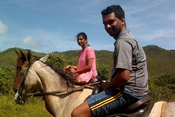 Nature & Historical Horseback Riding Tours St. Lucia - Customer Experiences