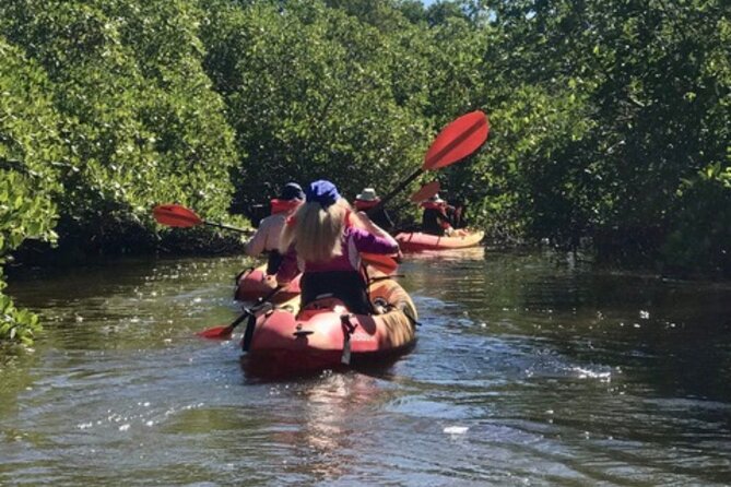 Nauti Exposures - Guided Kayak Tour Through the Mangroves - Customer Feedback