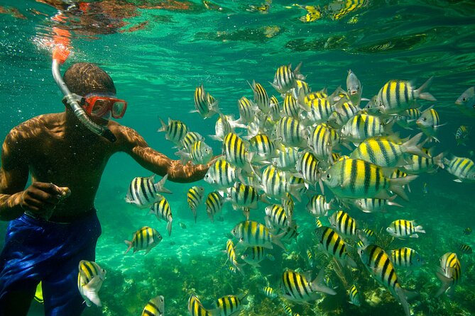 Negril Seven Miles Beach, Snorkeling, Boat Ride, Ricks Cafe Combo - Accessibility Information