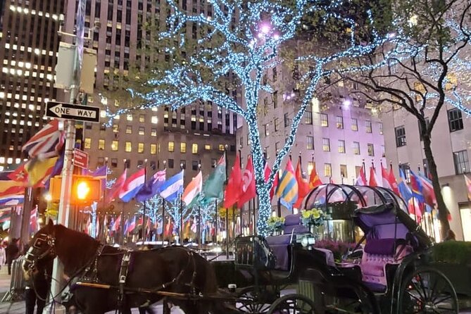 New York City Christmas Lights Private Horse Carriage Ride - Customer Reviews