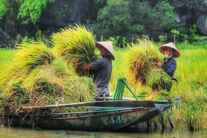 Ninh Binh Full Day Tour:Hoa Lu Tam Coc: Cycling,Boat,Buffet Lunch,Limousine Bus - Local Cuisine and Buffet Lunch