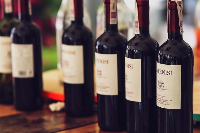 North Georgia Wine Country Tour From Atlanta - Tips for a Great Experience