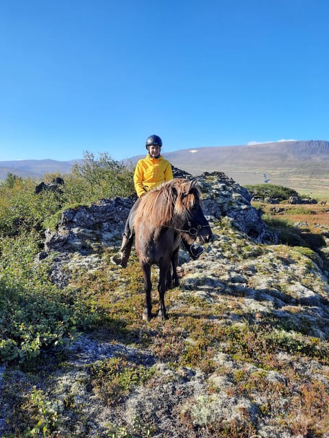 North Iceland: Horseback Riding Tour - Customer Feedback