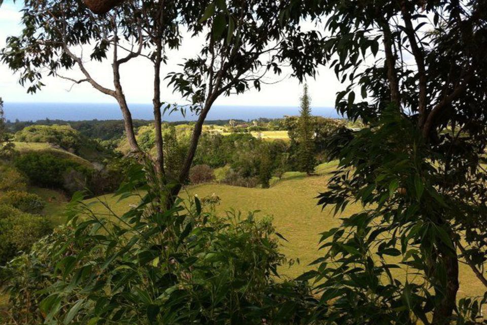 North Maui: 7 Line Zipline Adventure With Ocean Views - Whats Excluded