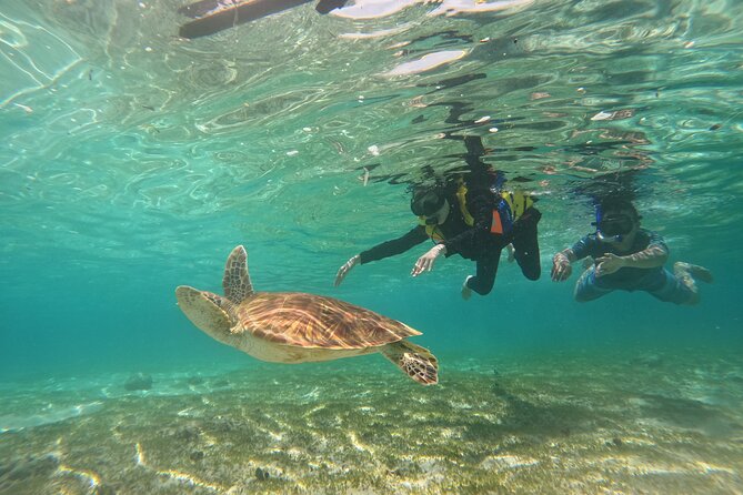Nusa Penida & Gili Trawangan 3 Days 2 Nights (Snorkeling) - Accessible Pick-up and Drop-off Locations