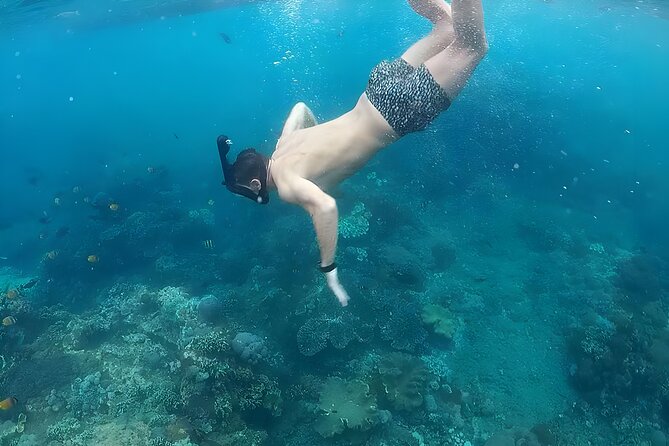 Nusa Penida Island Beach Tour With Snorkeling - Departure From Bali Island - Confirmation and Booking Details