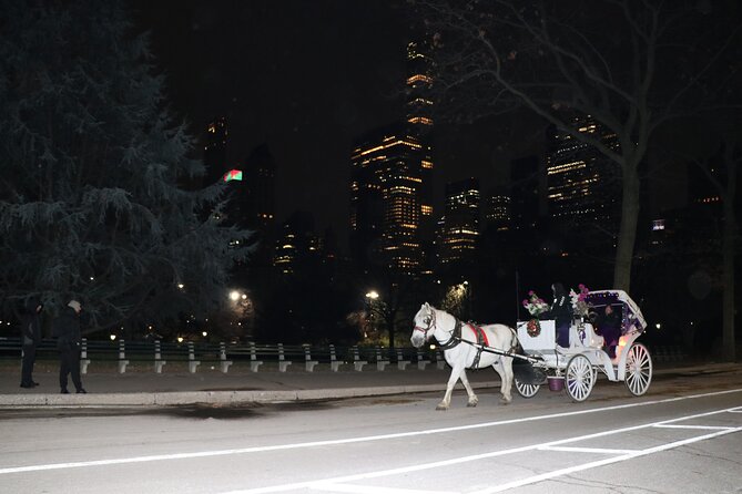 NYC Central Park Horse Carriage Ride (Up to 4 Adults) - Recommendations and Considerations