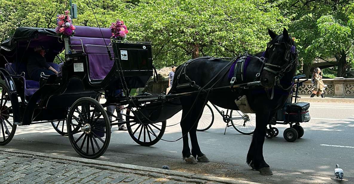 NYC Empire State Horse Carriage Rides (Central Park Tour) - Romantic and Unforgettable Experience